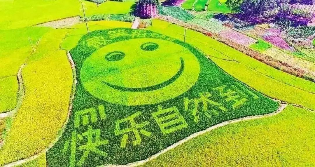 微信圖片_20200513165812.jpg