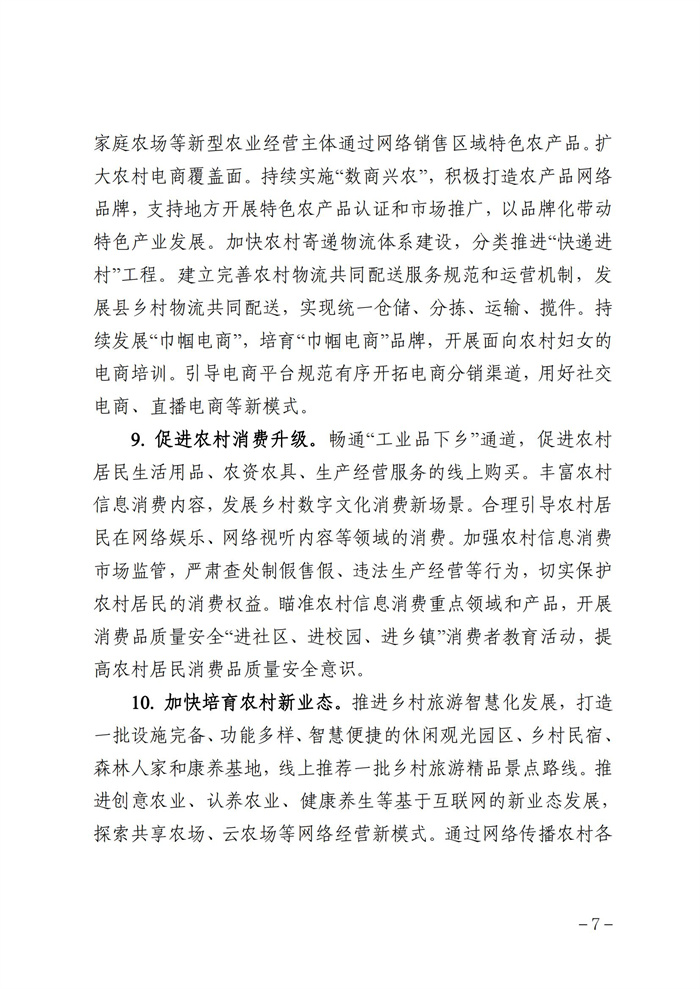 數(shù)字鄉(xiāng)村發(fā)展行動(dòng)計(jì)劃（2022-2025年）_06.jpg