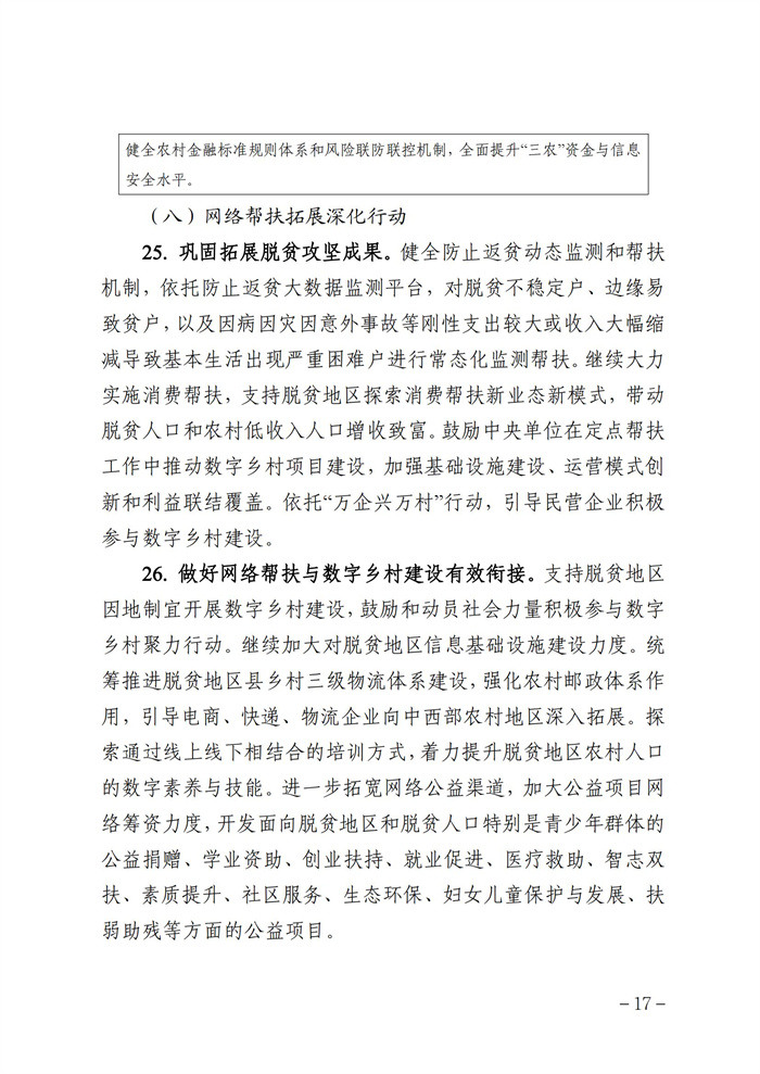 數(shù)字鄉(xiāng)村發(fā)展行動(dòng)計(jì)劃（2022-2025年）_16.jpg