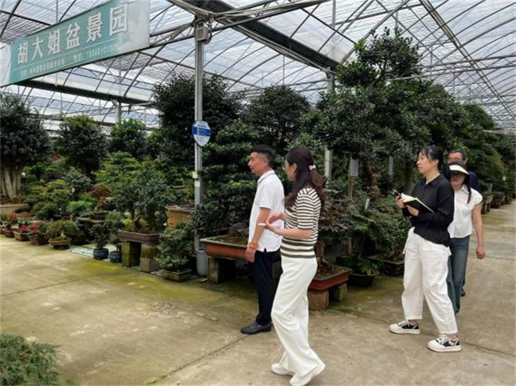 沭陽(yáng)國(guó)際花木城.png