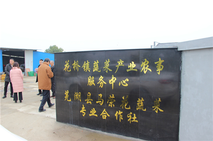 《灣沚區(qū)花橋鎮(zhèn)十四五現(xiàn)代農(nóng)業(yè)發(fā)展規(guī)劃》初期調(diào)研工作順利完成！(圖6)