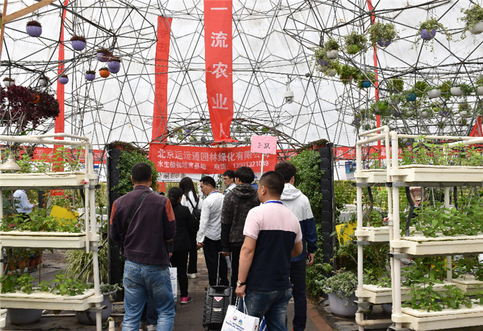 喜報(bào)！第九屆北京（通州）國際都市農(nóng)業(yè)科技節(jié)榮獲“特色展示設(shè)計(jì)展會(huì)”稱號(hào)(圖7)