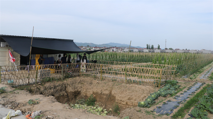 15、方三天有機菜園.jpg
